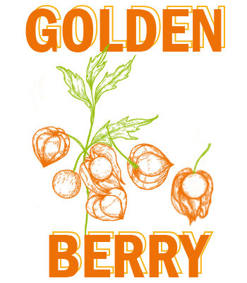 AGUAYMANTO-fruta1-GOLDEN-BERRY