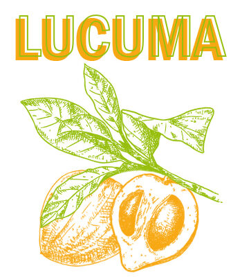 LUCUMA-fruta1-LUCUMA