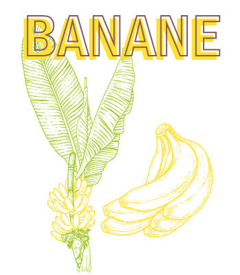 PLATANO-BANANO-fruta1-BANANA-BANANE PLATANO-BANANO-fruta1-BANANA-BANANE